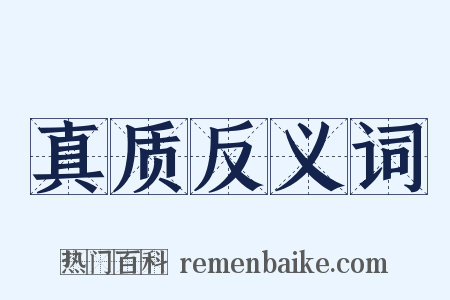 真质反义词是什么意思的图片